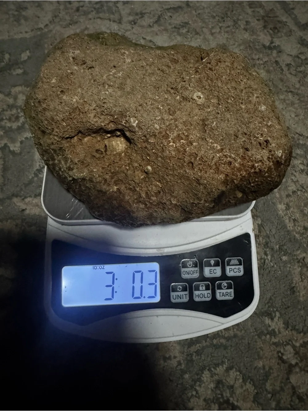 Natural-Style Brown Reptile Hide Rock - Secure Terrarium Shelter